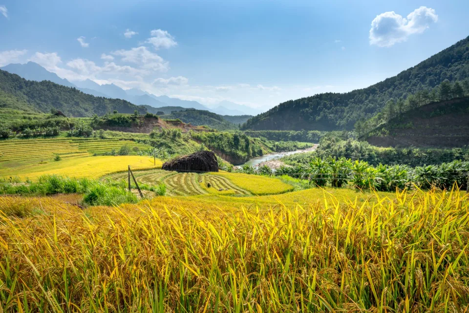 Kho gạo của Huỳnh Thị Hòa